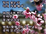 수필가 김영일, 홍매화의 향기