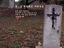 [광성] 죄, 그 치명적인 어리석음- 김동호 목사 