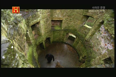 1760450D4CFF8DD2068DE8