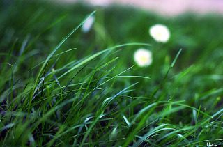 01108C4E51A6ED5B33D693