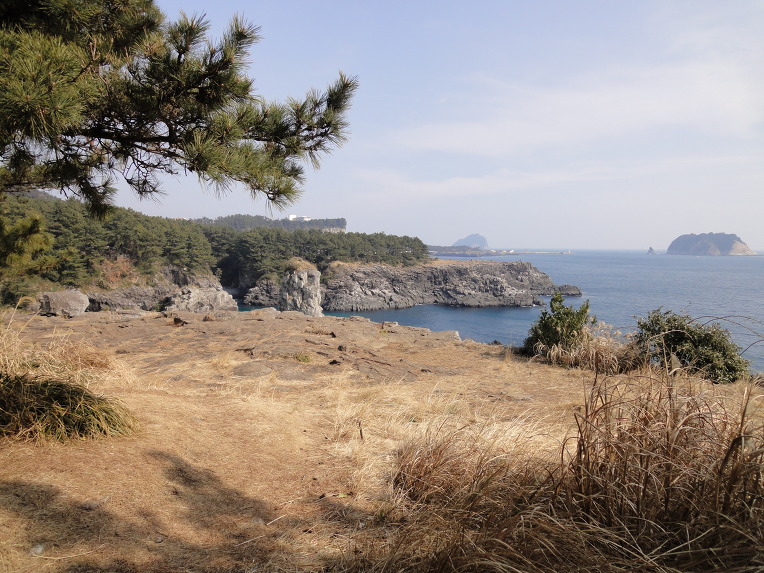 제주도 올래길 맛보기