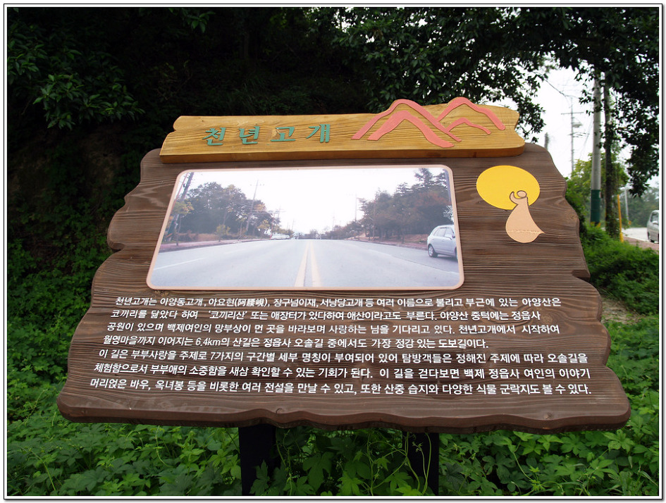 천년가요 이미지