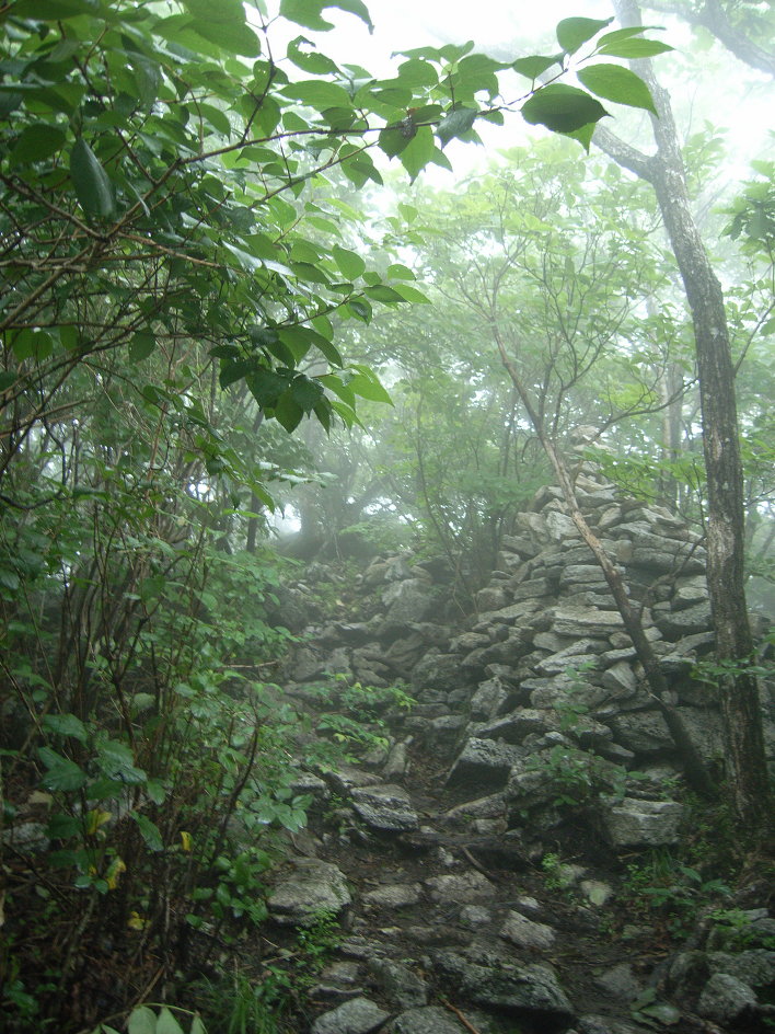 산행_김천 수도산