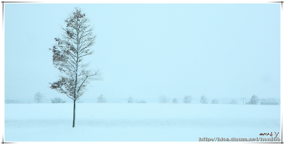 Tombe La Neige(눈이 내리네)- Salvatore Adamo