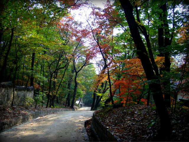 123F290F4AF5BB3E07044D