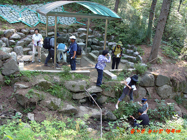 작은 곤충, 놀라운 세계