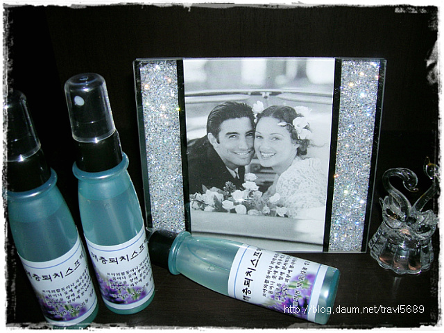 초간단 해충 퇴치제만들기