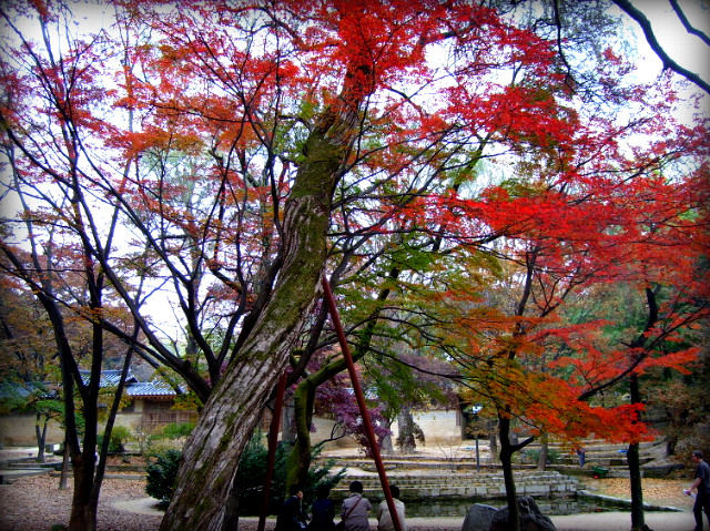 1337101D4AF5B2CB0AE44D