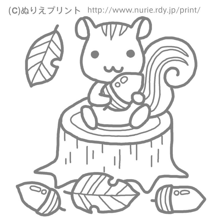 Squirrel coloring ,다람쥐 색칠