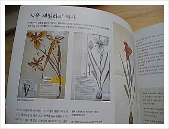 더블클릭을 하시면 이미지를 수정할 수 있습니다