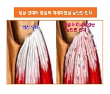 142E484F4F806AA5233610
