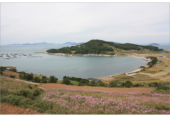 [김작가의 여행칼럼-4] 아이야~ 청산가자! <전남 청산도>