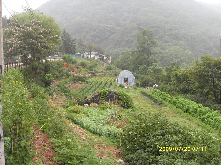 풍경농원 이미지