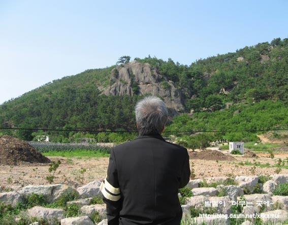 도*환 이미지