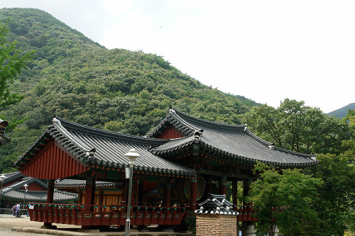 맑은바람 이미지