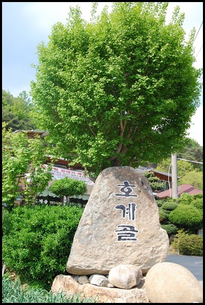호계마을 이미지