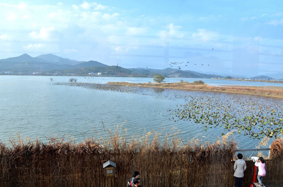동판지->주남저수지 풍경탐방 