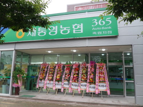 새통영농업협동조합 이미지