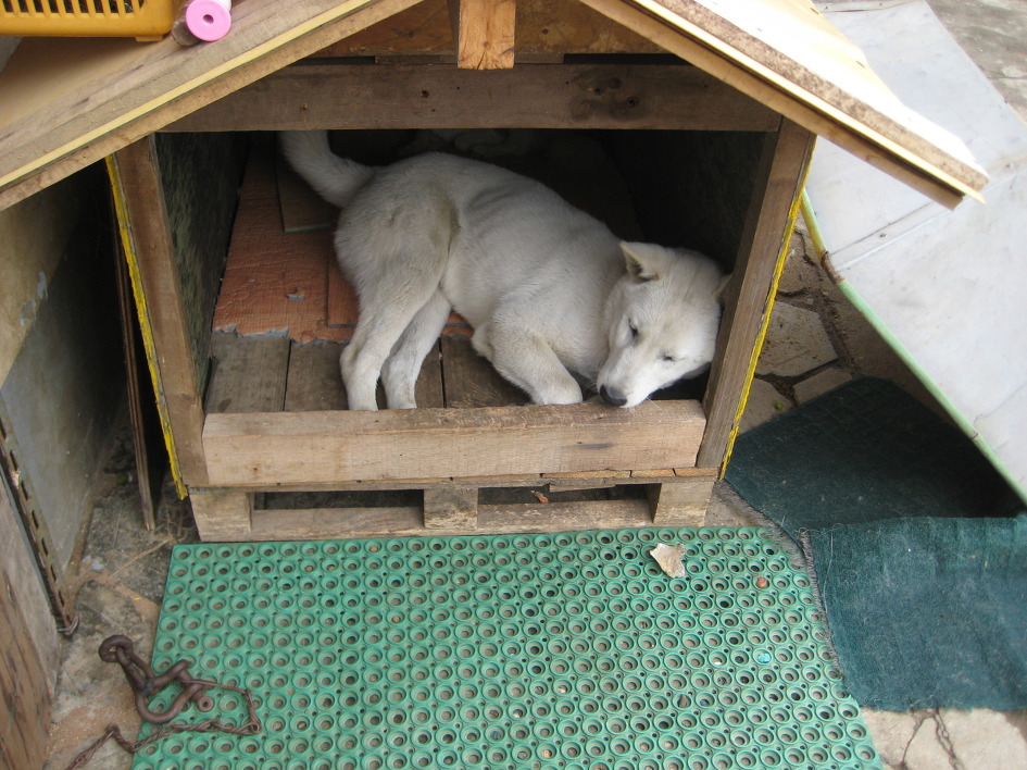 백호야 백호야 우리 백호야~~~~~~~