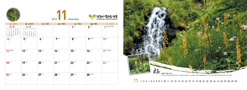 야생화달력탁상용2012년-백두산속야생화