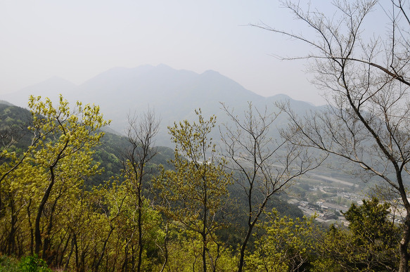 동산농장 이미지