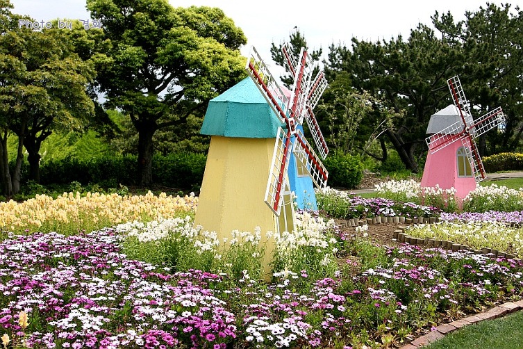 가야식물원 이미지