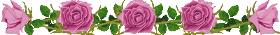 1714E8554D5796B8341774