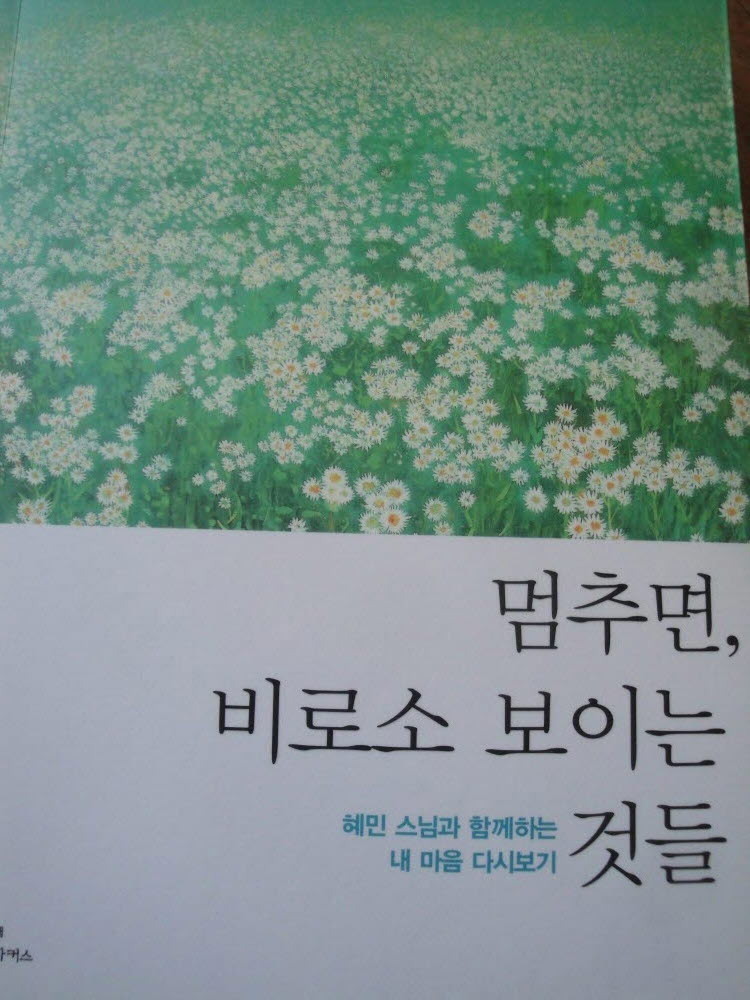 미인(美:인) 이미지