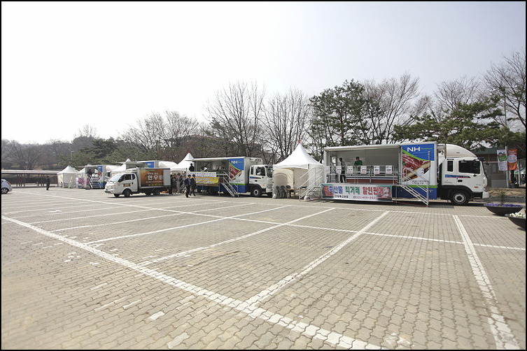 왕초보 새댁이 ‘내조의 여왕’ 되는 장보기 비법!