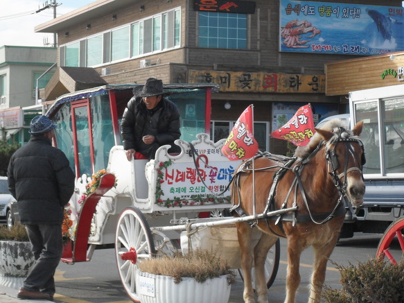 포항 호미곳 단축마라톤
