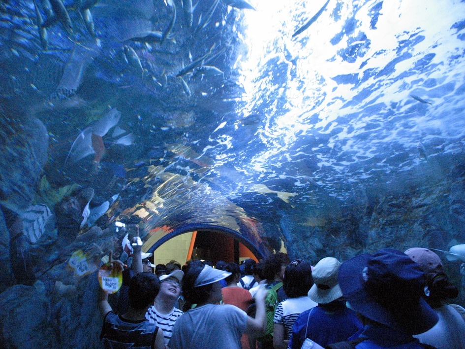 (여수엑스포)고2학년 30,000원으로 여수엑스포 혼자 다녀오기