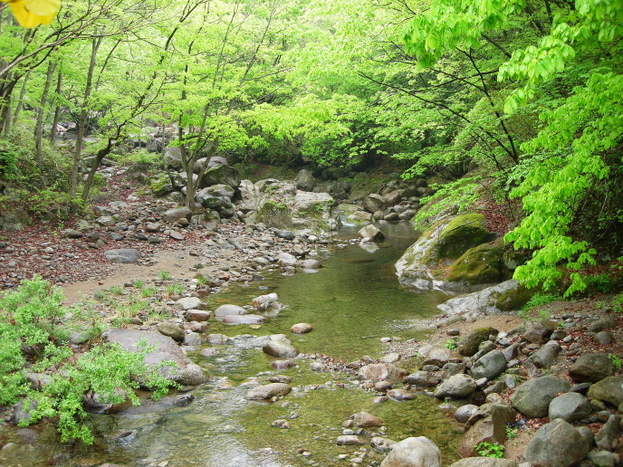 지리산꽃담 이미지