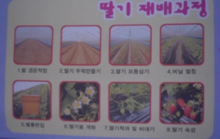 더블클릭을 하시면 이미지를 수정할 수 있습니다