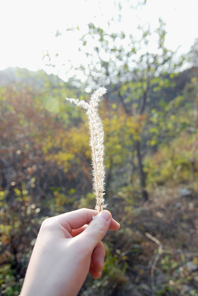 화산골산장 이미지