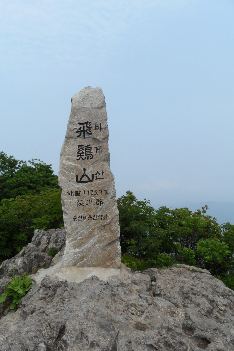마루2011 이미지