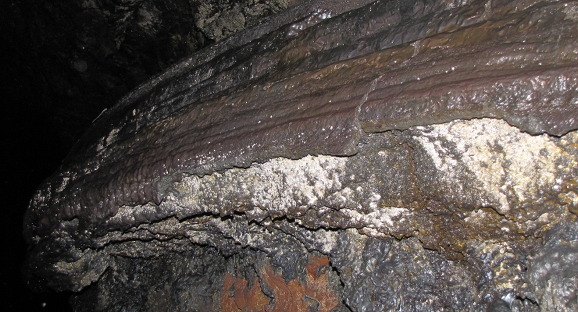 이미지 전체보기