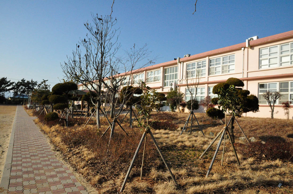 완도신지중학교 이미지