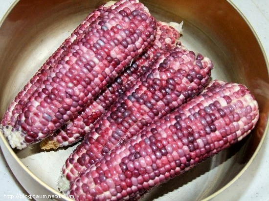 여름철 최고의 간식!! 옥수수와 감자 맛있게 찌는 법