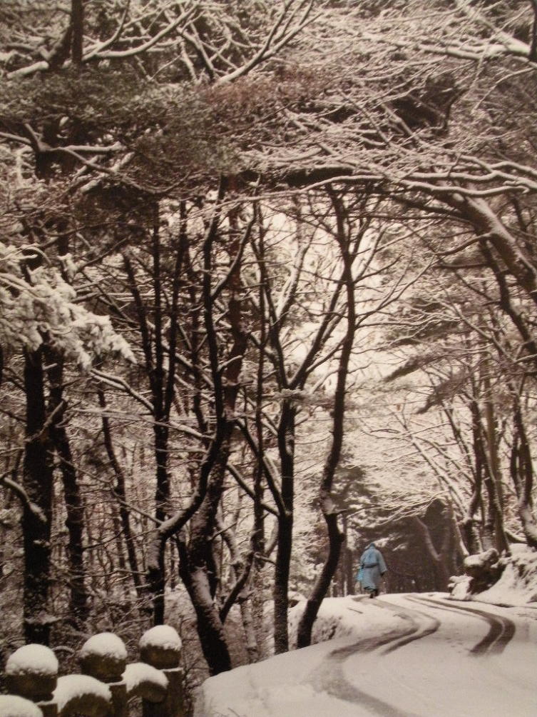 제３칼라 이미지