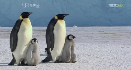 더블클릭을 하시면 이미지를 수정할 수 있습니다