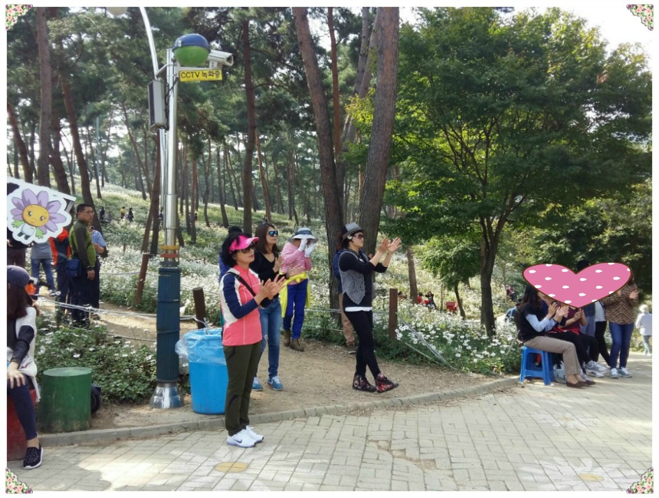 동료들과 정읍구절초 테마공원에 다녀왔습니다.