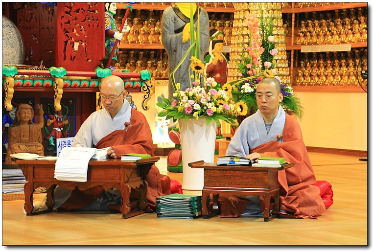 한국초재 이미지