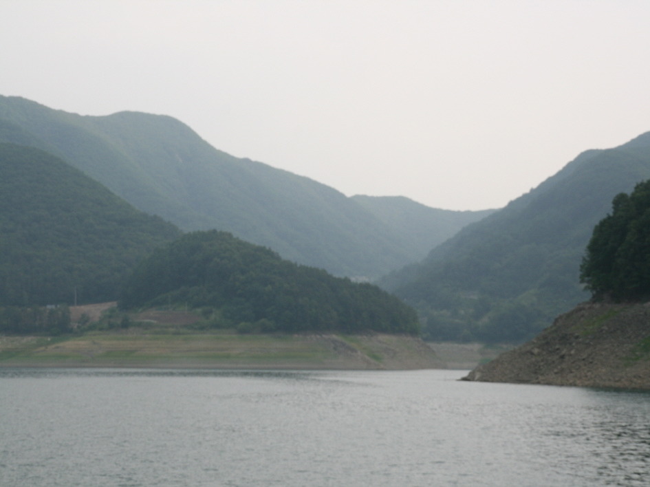하나호 이미지