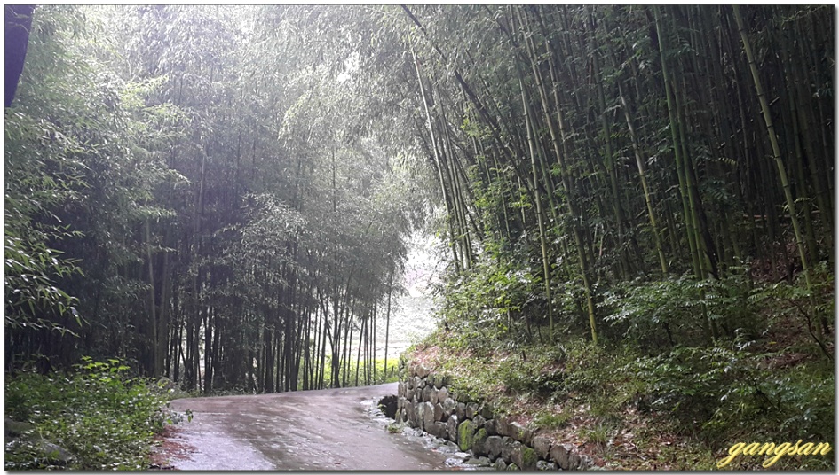 산행 한번 하기 정말 힘들다~/무장봉 산행이 무산되고 소금강산으로~