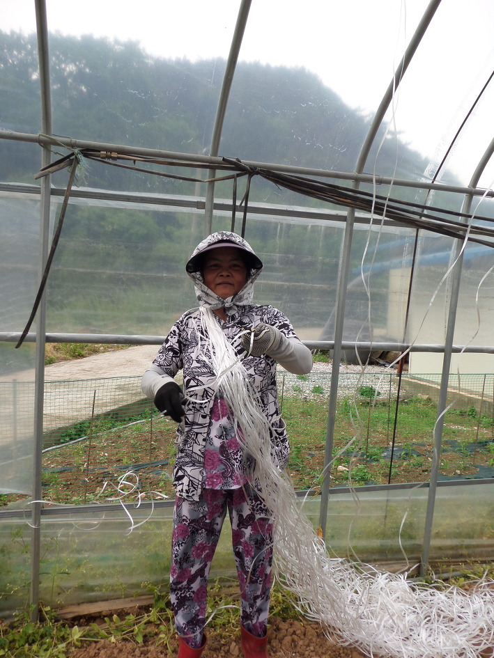(주)대풍 이미지