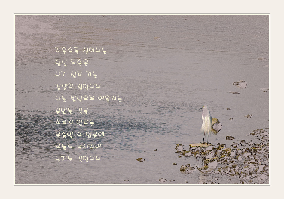 이해인수녀님 .용혜원님 시
