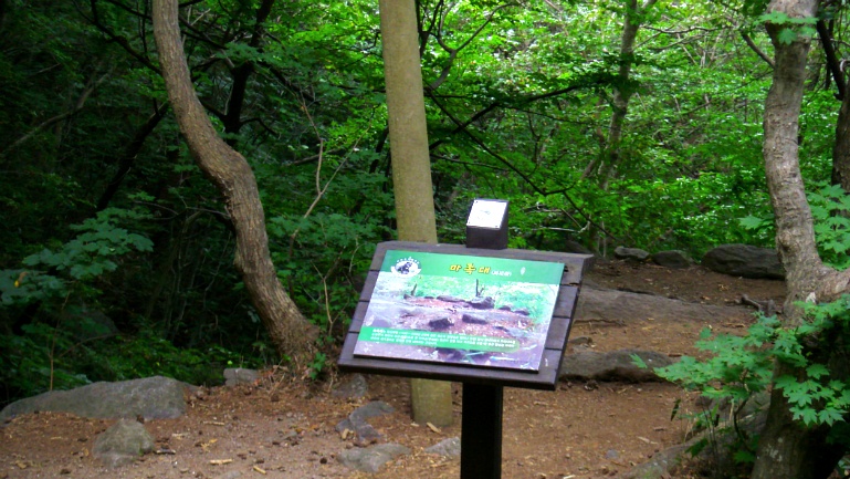 22732B47541996B20DF88F