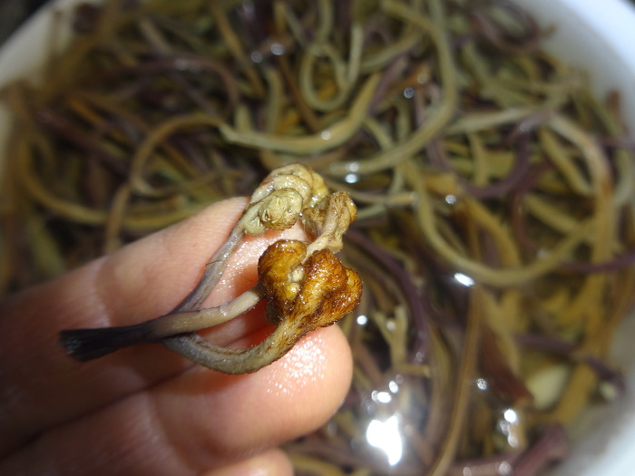 해죽순과 초석잠을 넣어 육개장이 아닌 채개장을...
