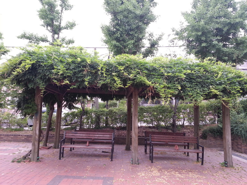서울시계종주10구간(C) /2015.06.13