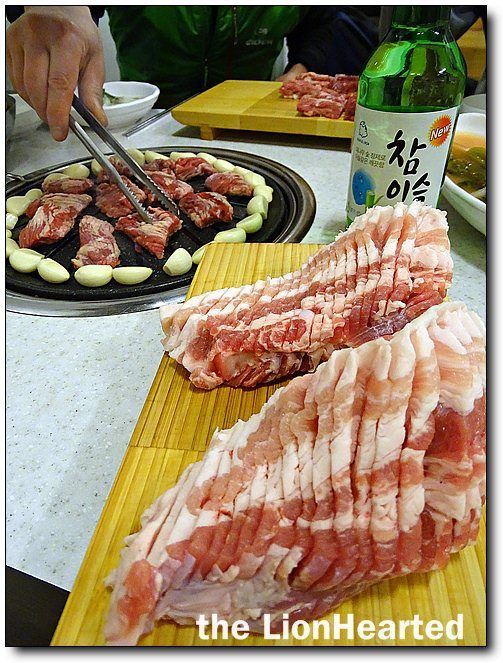 해변의돼지 이미지